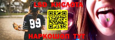 индика Рузаевка
