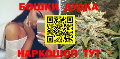индика Рузаевка